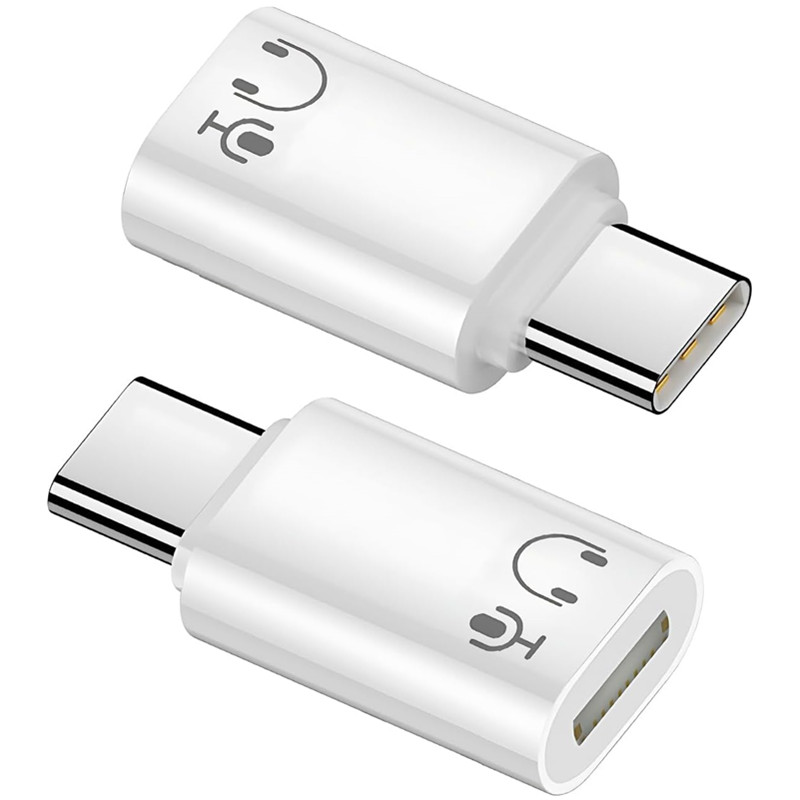 Travel Plug Type C - Lightning Female To Type C Audio
