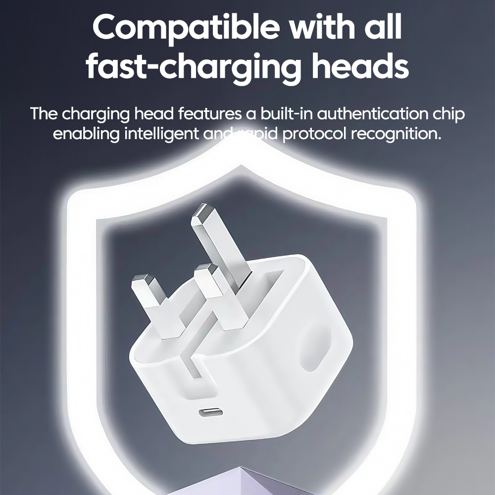 British Standard Charger 25W S - Travel Accessories Inc recension och pris